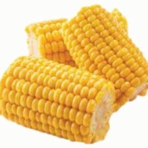 EXTRA CORN ON THE COB 